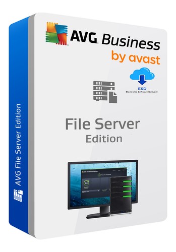 Avg file server business - server,